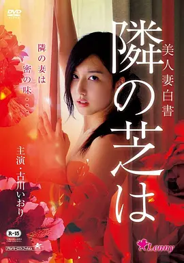 大鹏导演电影吉祥如意海报